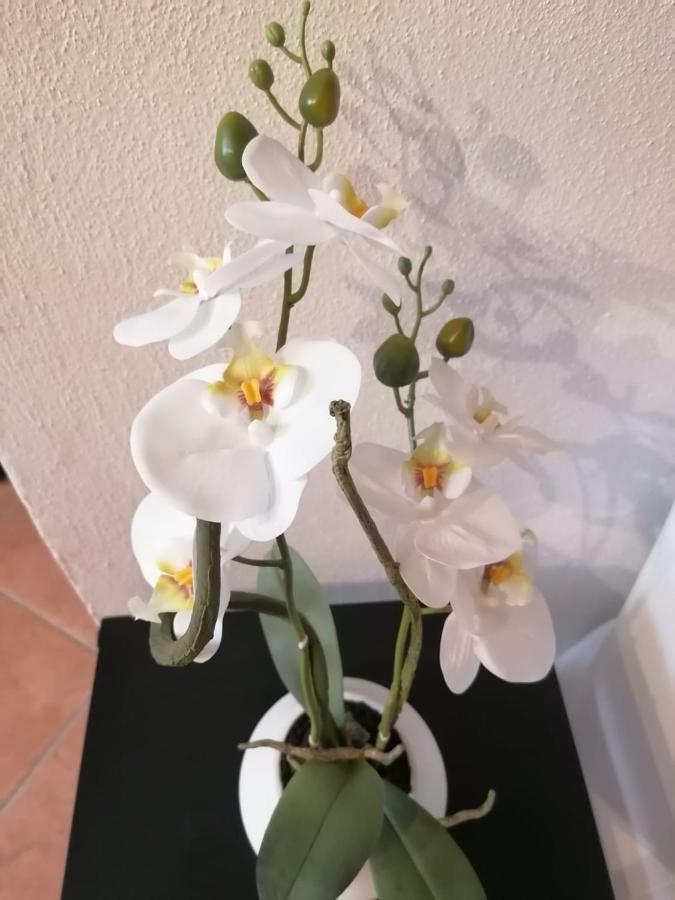 Perla Del Golfo Apartment เลริชี ภายนอก รูปภาพ